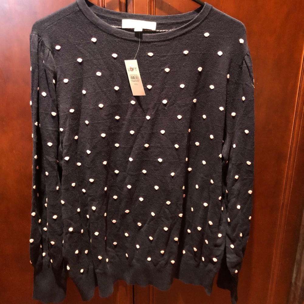 Loft Navy Crewneck Sweater NWT